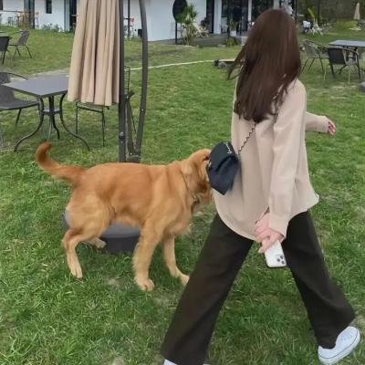 飞驰吧！少年第二季