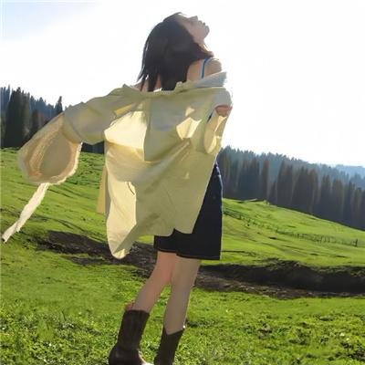 高卢英雄救公主